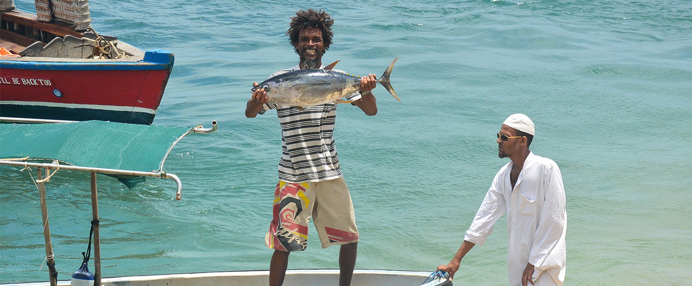 De la mer à l’assiette, carpaccio de daurade ou sashimi de thon aujourd’hui ?