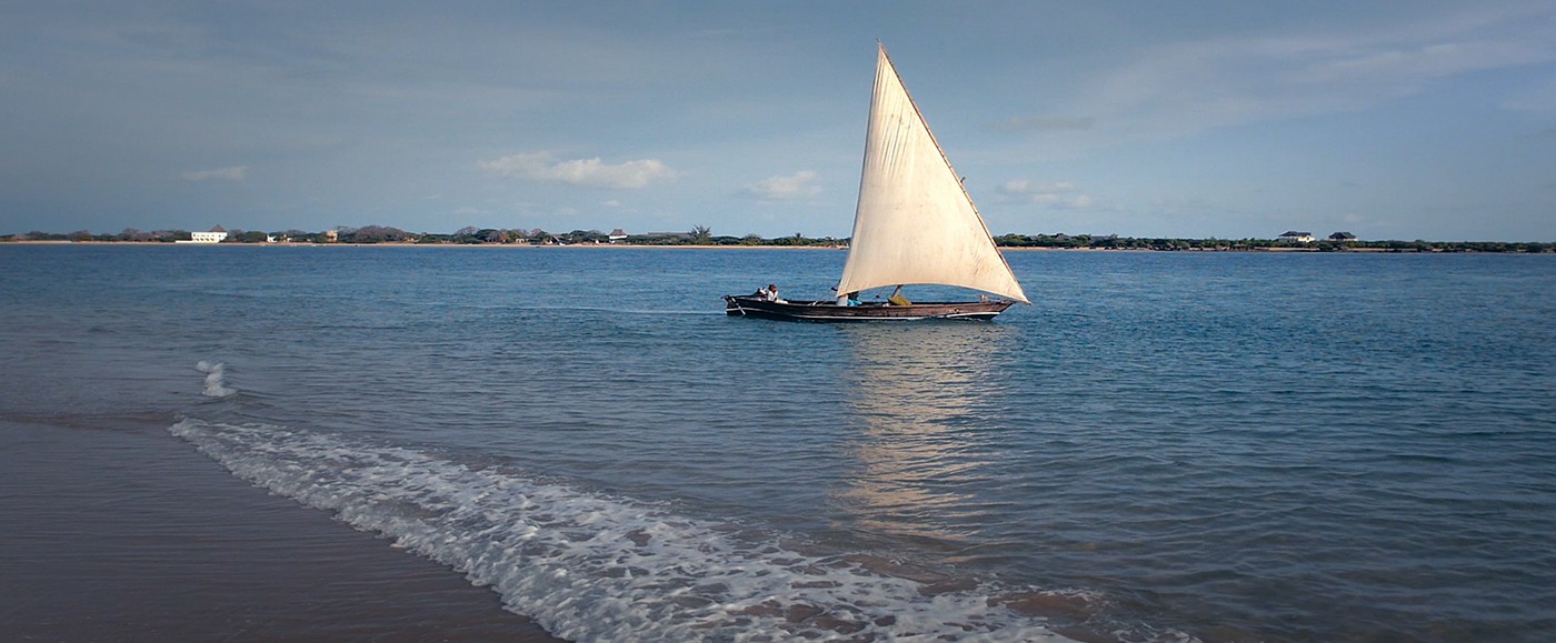 Vous vous échapperez en voilier, pour une petite croisière au soleil couchant, ou à la journée, pique-nique à bord.