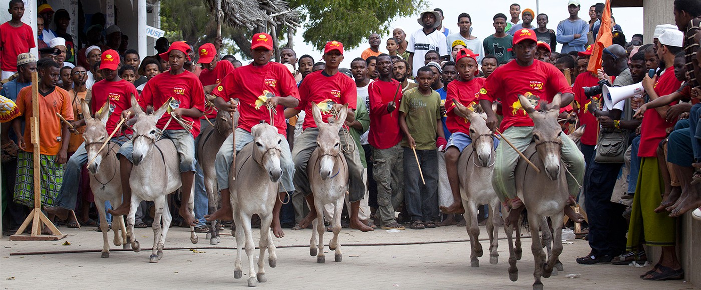 Donkey races are also part of the culture here, just like dhow races.